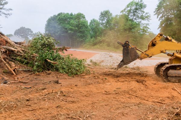 Ground Clearing in League City