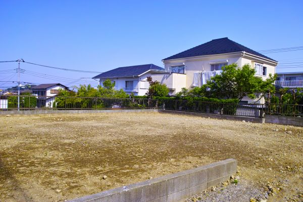 Cost of Lot Clearing Service in League City