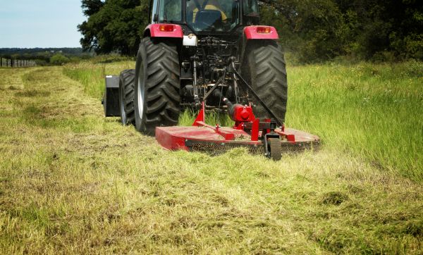 Brush Clearing Service in League City