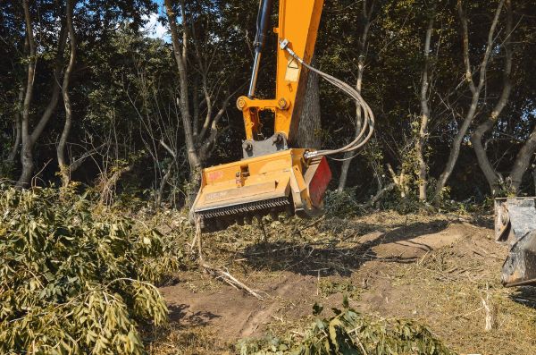 Brush Removal Service in League City