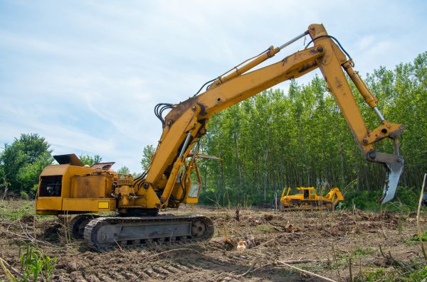 Cost of Farm Clearing in League City
