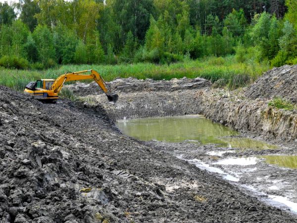 Cost of Lake Lot Clearing in League City