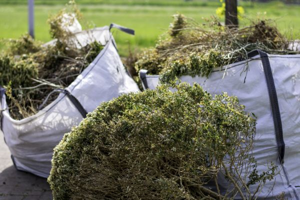 Cost of Bushes Clearing in League City