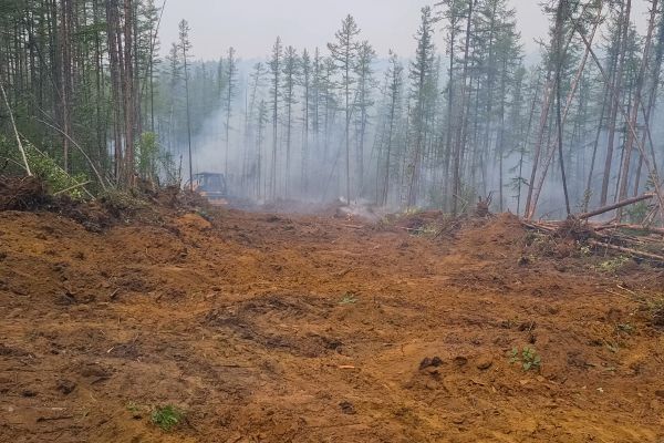 Cost of Hill Clearing in League City