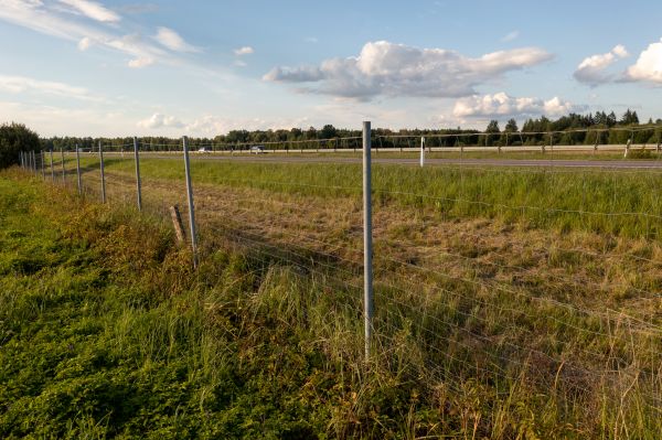 Cost of Property Line Clearing in League City