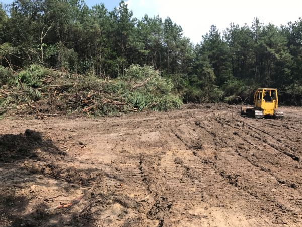 Cost of Thicket Clearing in League City
