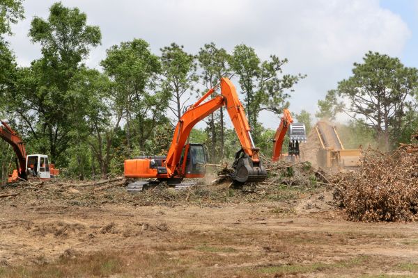 Cost of Commercial Lot Clearing in League City