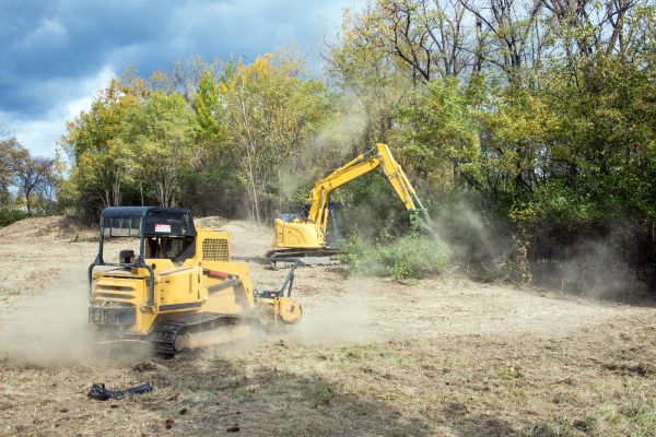 Cost of Terrain Clearing in League City