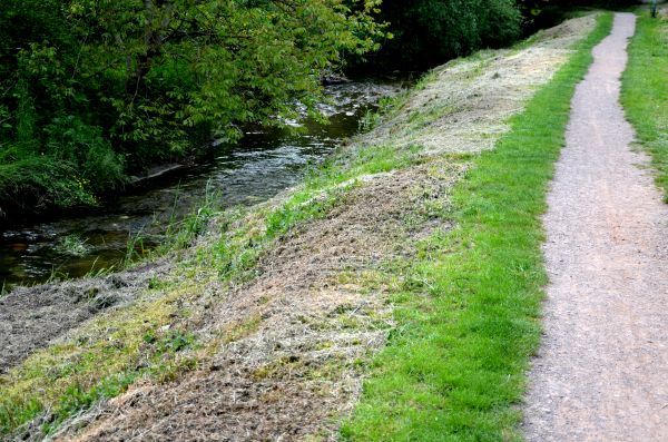 Cost of Trail Cutting in League City