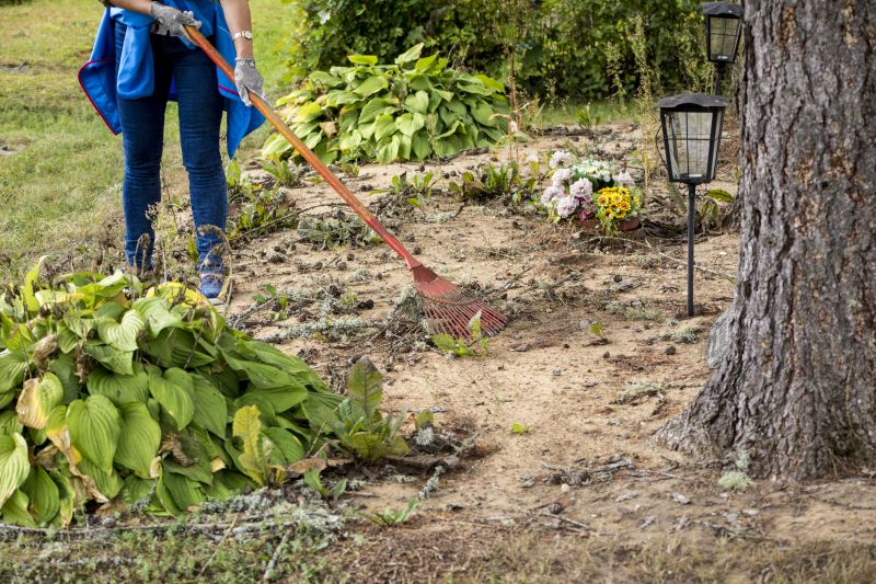 Weather considerations for land clearing